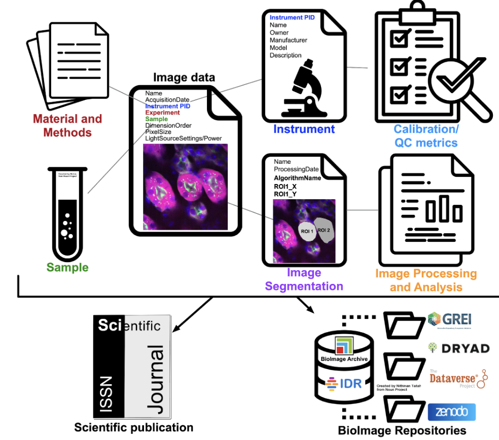 Figure describing image metadata fragmentation